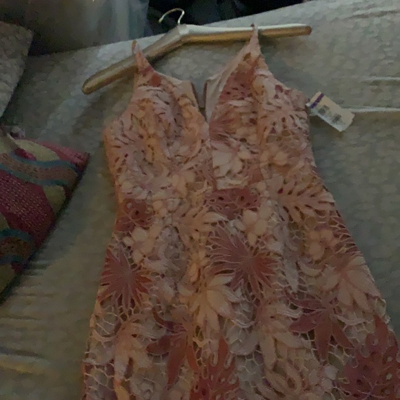 Pink embroidered lace overlay dress - Picture 2 of 2